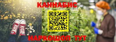 jwh Бийск