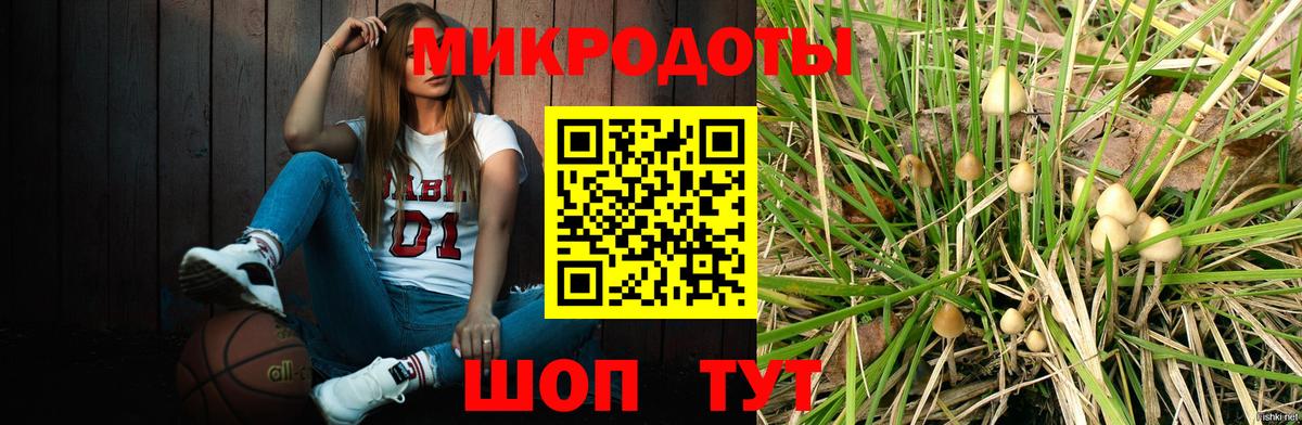 Ишим  Галлюциногенные грибы мицелий  Вход с VPN 
